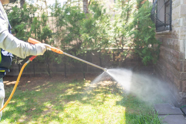 Flea Control Services in Cape May Court House, NJ