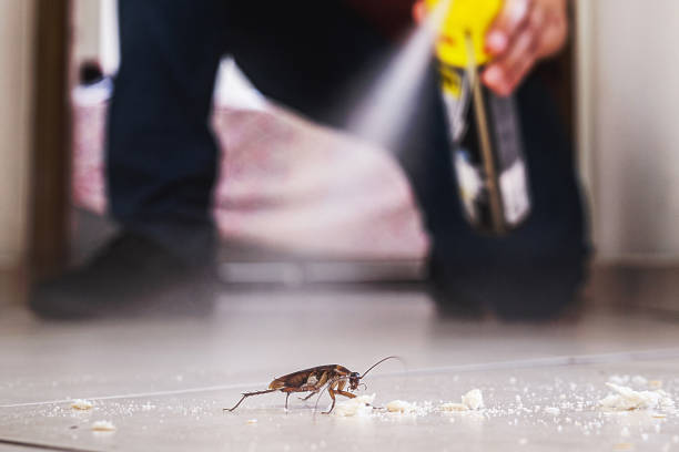 Best Bed Bug Extermination  in Cape May Court House, NJ